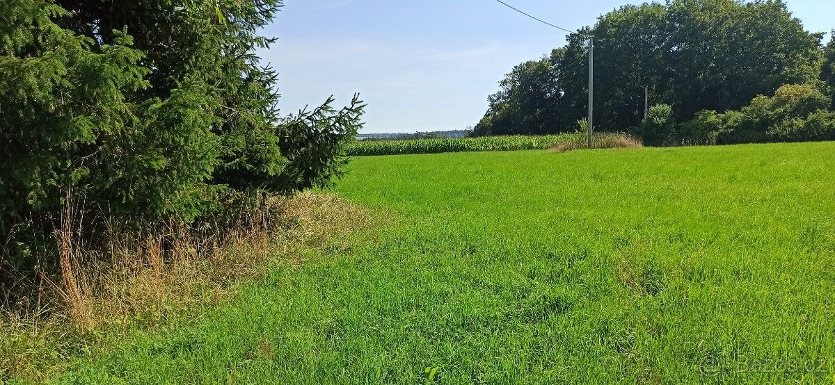 Prodej pozemek pro bydlení - Nasavrky, 538 25, 4 725 m²