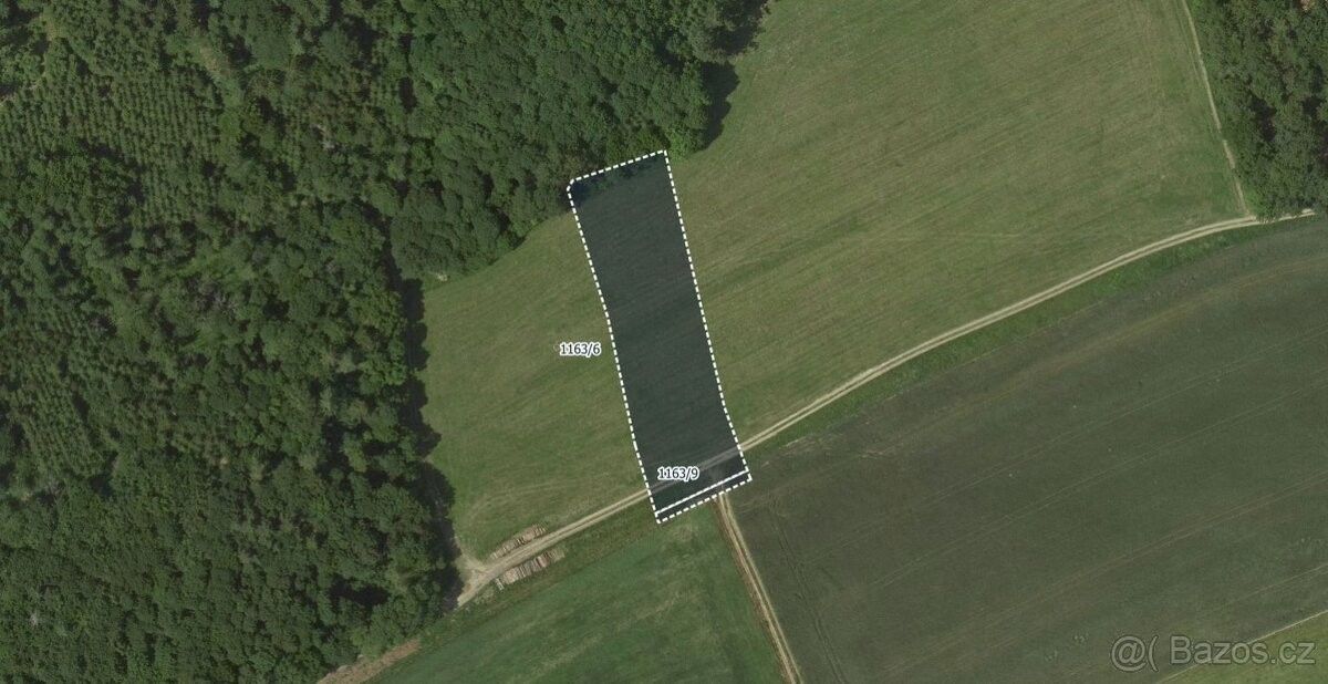 Prodej zemědělský pozemek - Rozstání, 798 62, 12 165 m²