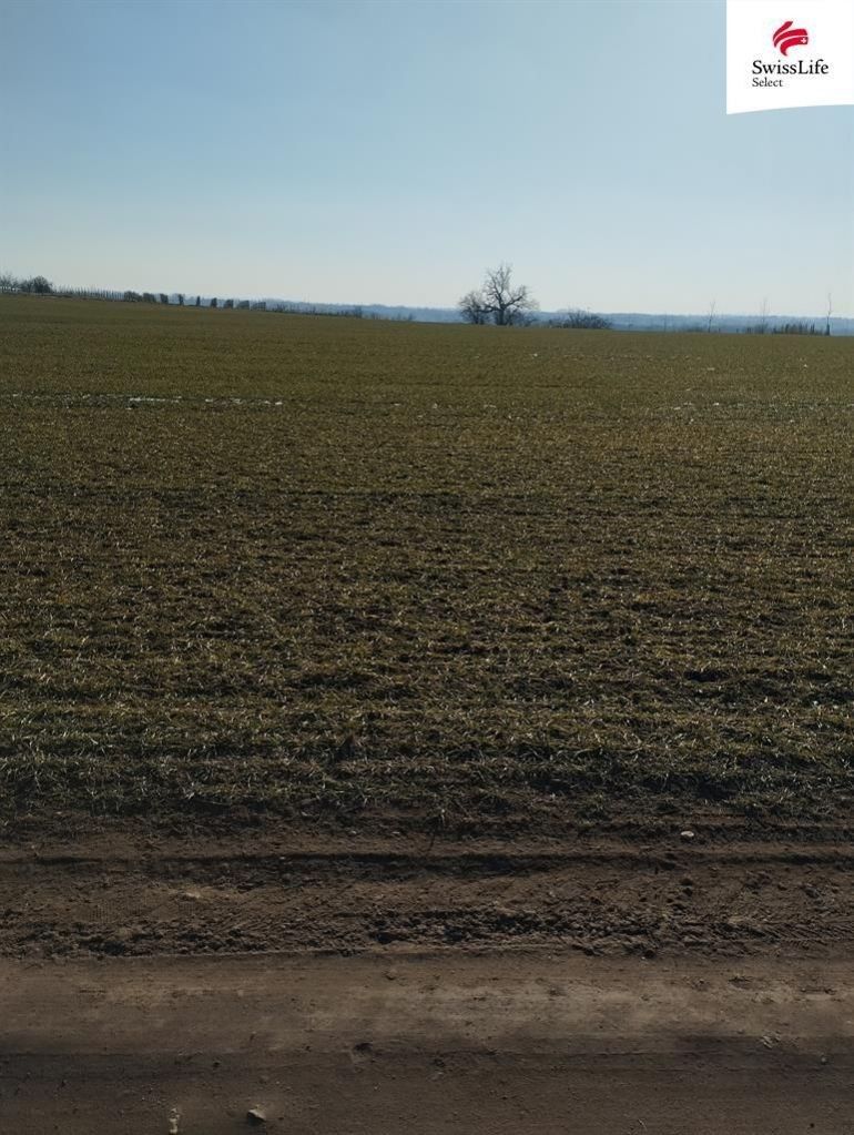 Pozemky pro bydlení, Hrušovany nad Jevišovkou, 4 538 m²