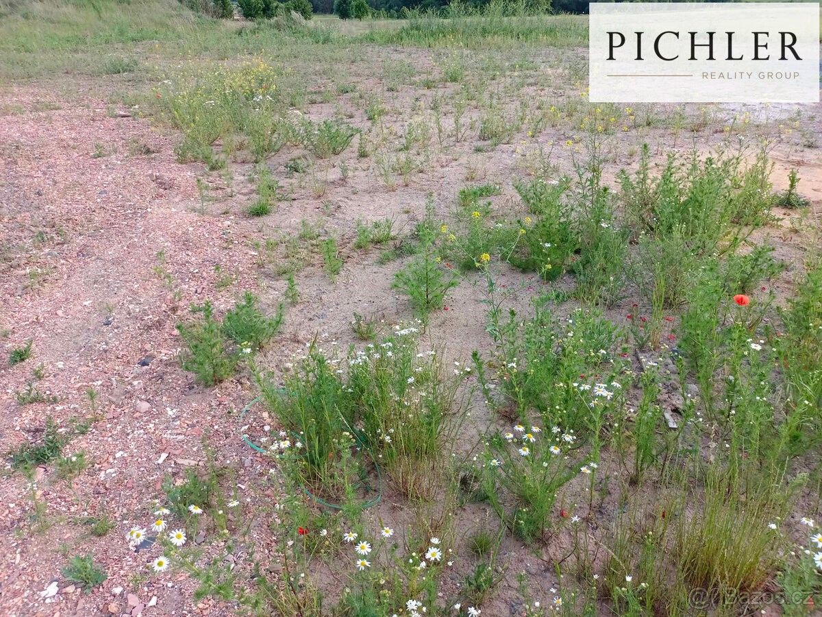 Prodej pozemek pro bydlení - Nýřany, 330 23, 705 m²