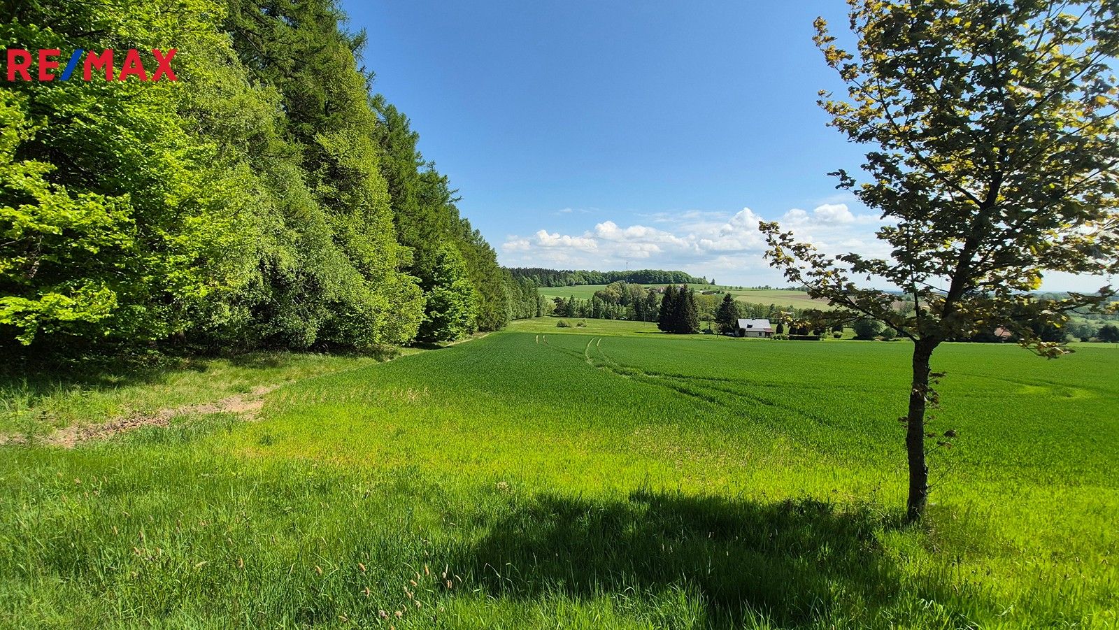 Pozemky pro bydlení, Borová, 5 776 m²