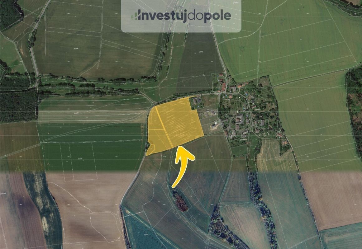 Prodej zemědělský pozemek - Střeziměřice, Chvalkovice, 36 722 m²