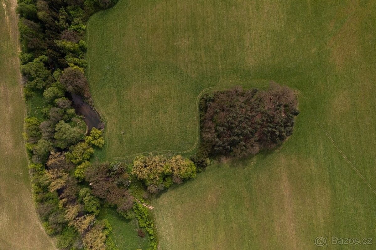 Lesy, Rychnov nad Kněžnou, 516 01, 7 342 m²