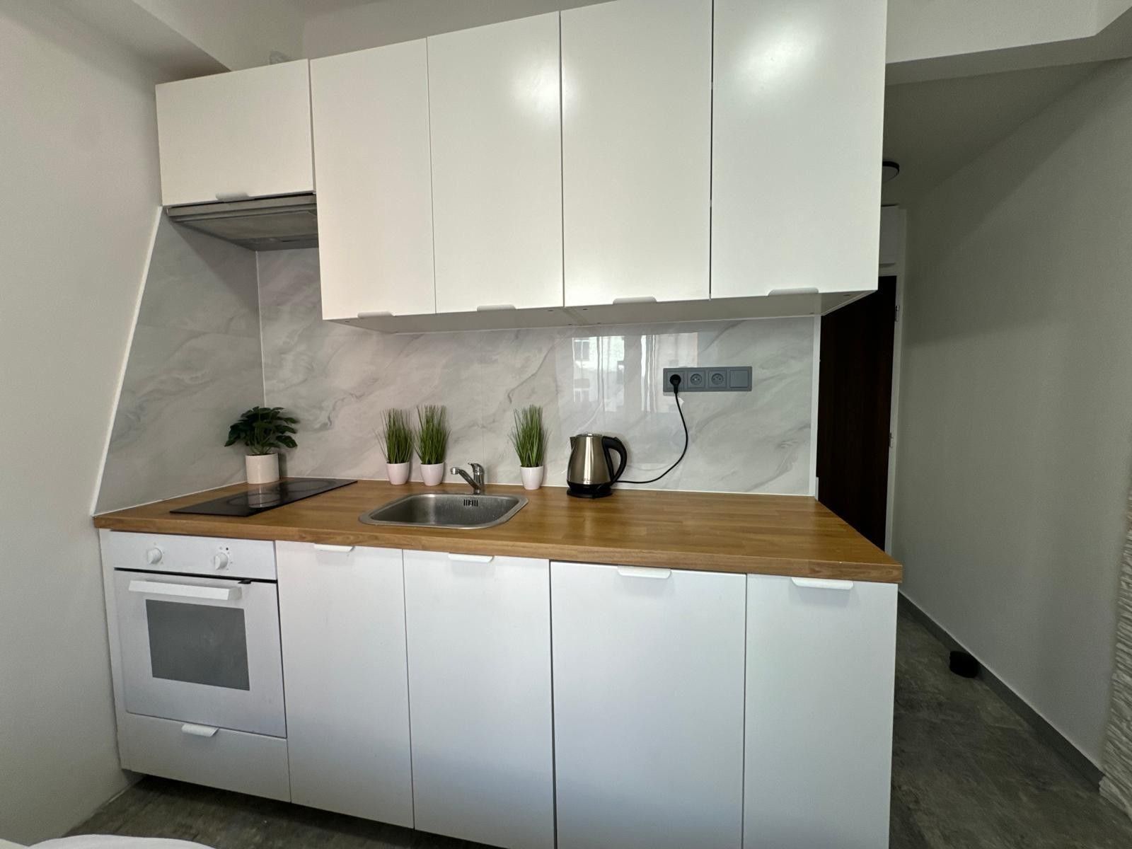 Pronájem byt 1+kk - Vinohrady, Praha (ulice), 19 m²