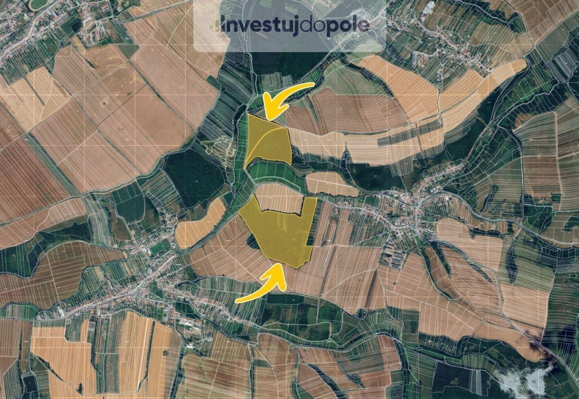Prodej les - Částkov, 2 390 m²