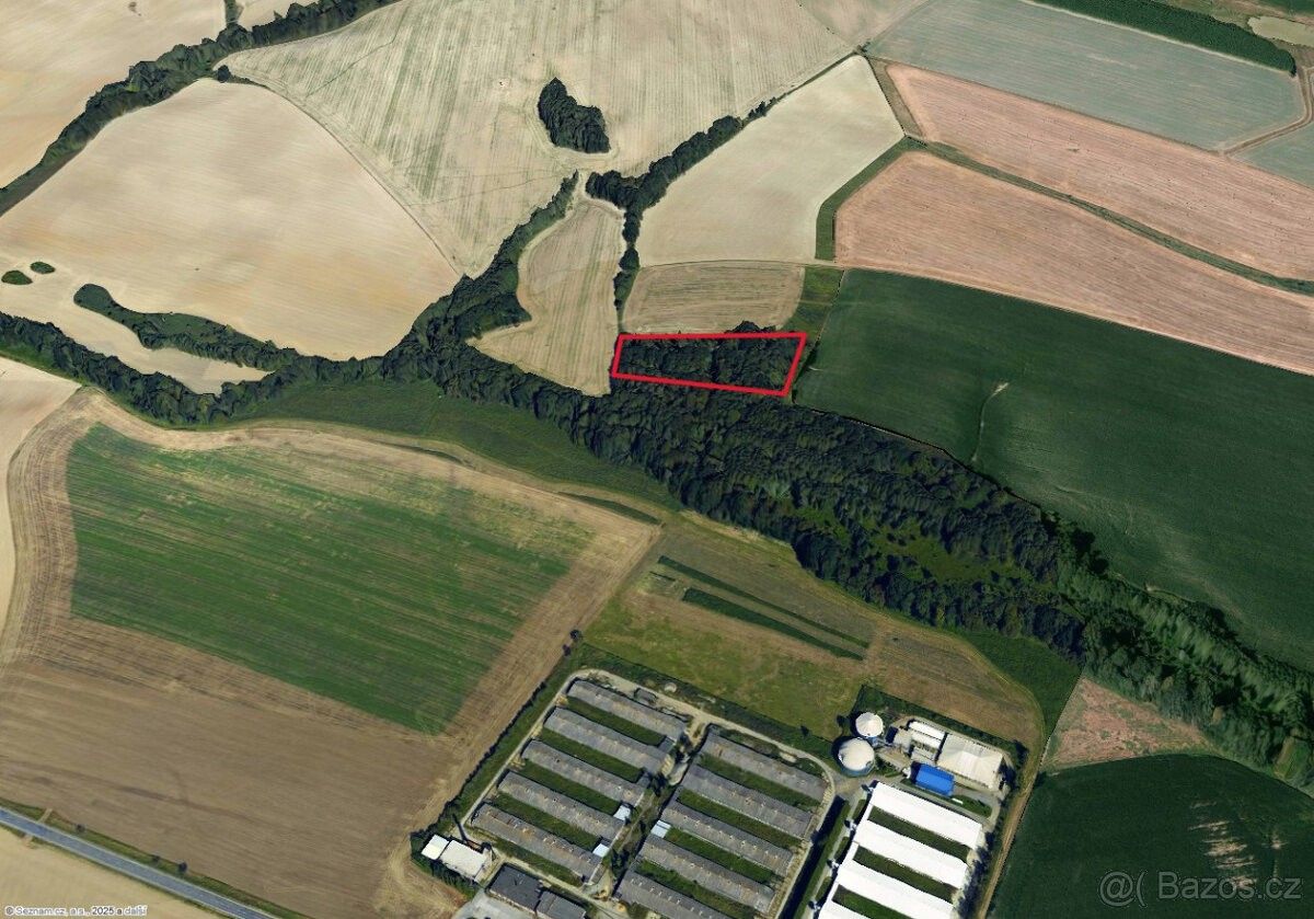 Prodej les - Bravantice, 742 81, 8 844 m²