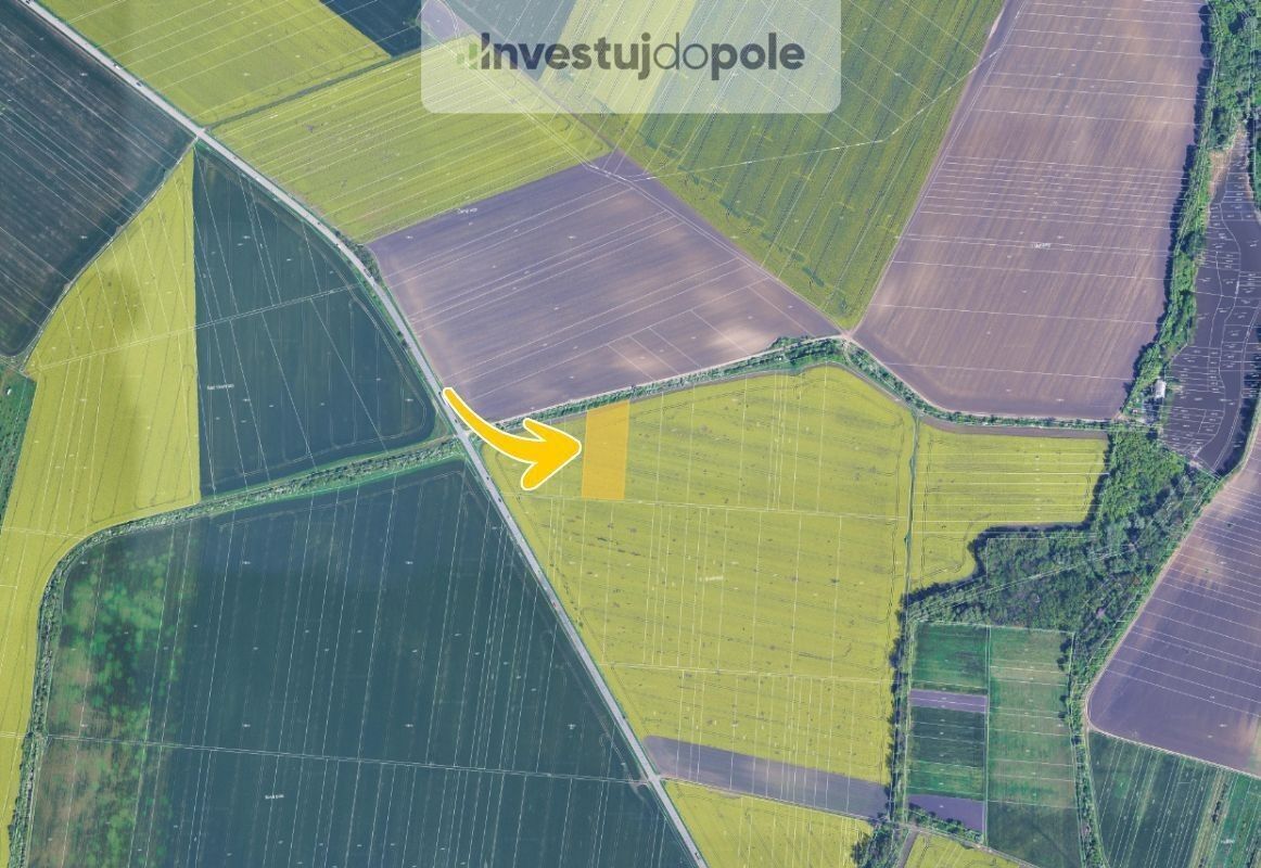 Prodej zemědělský pozemek - Sokolnice, 5 776 m²