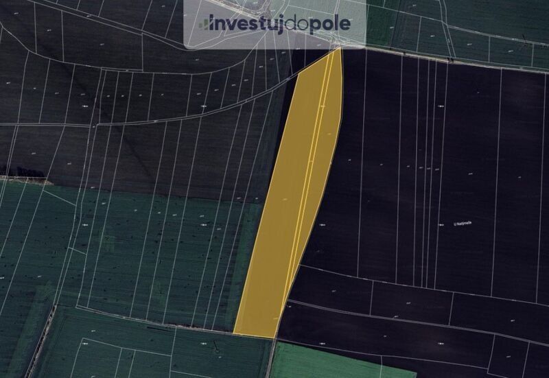 Zemědělské pozemky, Opočnice, 289 04, 37 207 m²