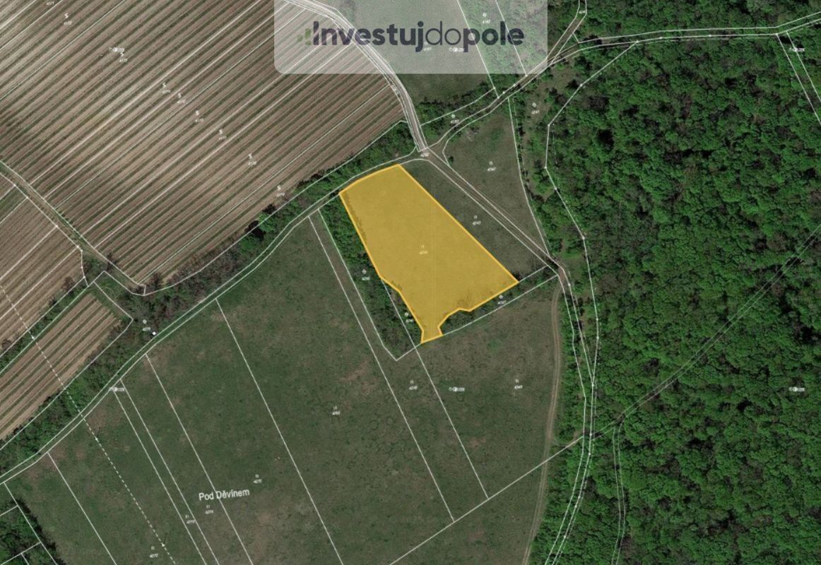 Louky, Horní Věstonice, 5 123 m²