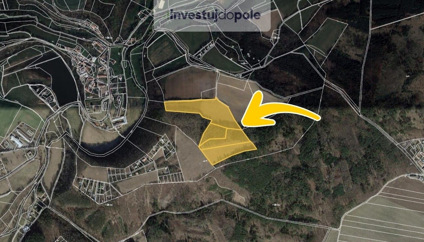 Prodej louka - Malá Lečice, Bojanovice, 56 080 m²