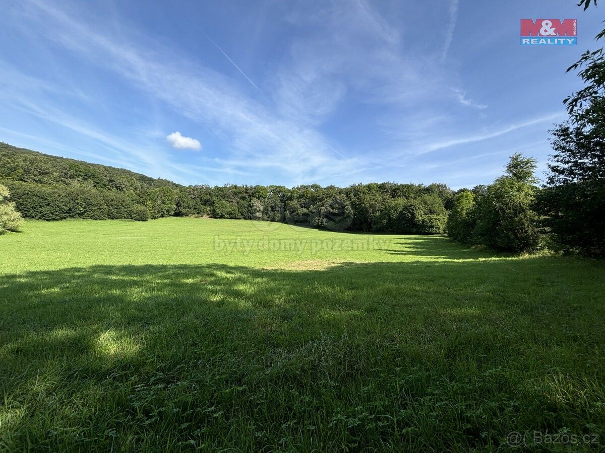 Prodej zemědělský pozemek - Třebenice, 411 13, 52 414 m²