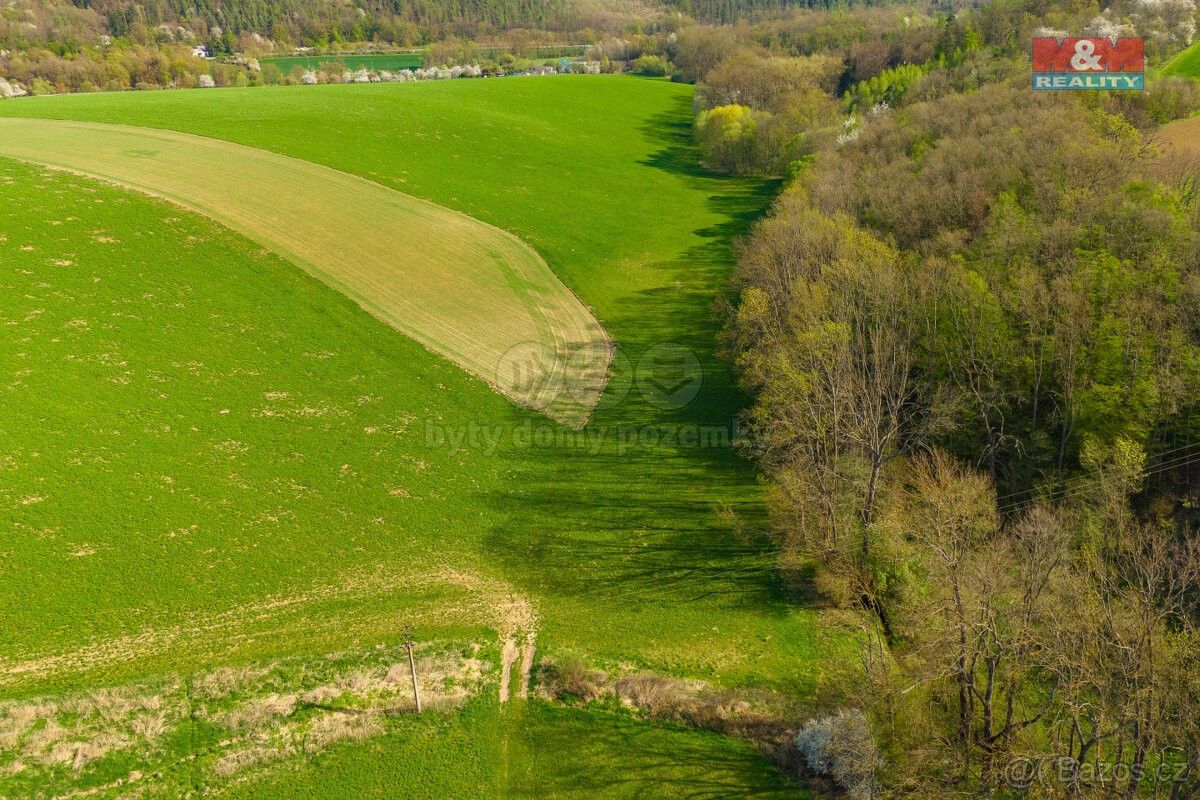 Prodej zemědělský pozemek - Chudobín, 783 21, 4 100 m²