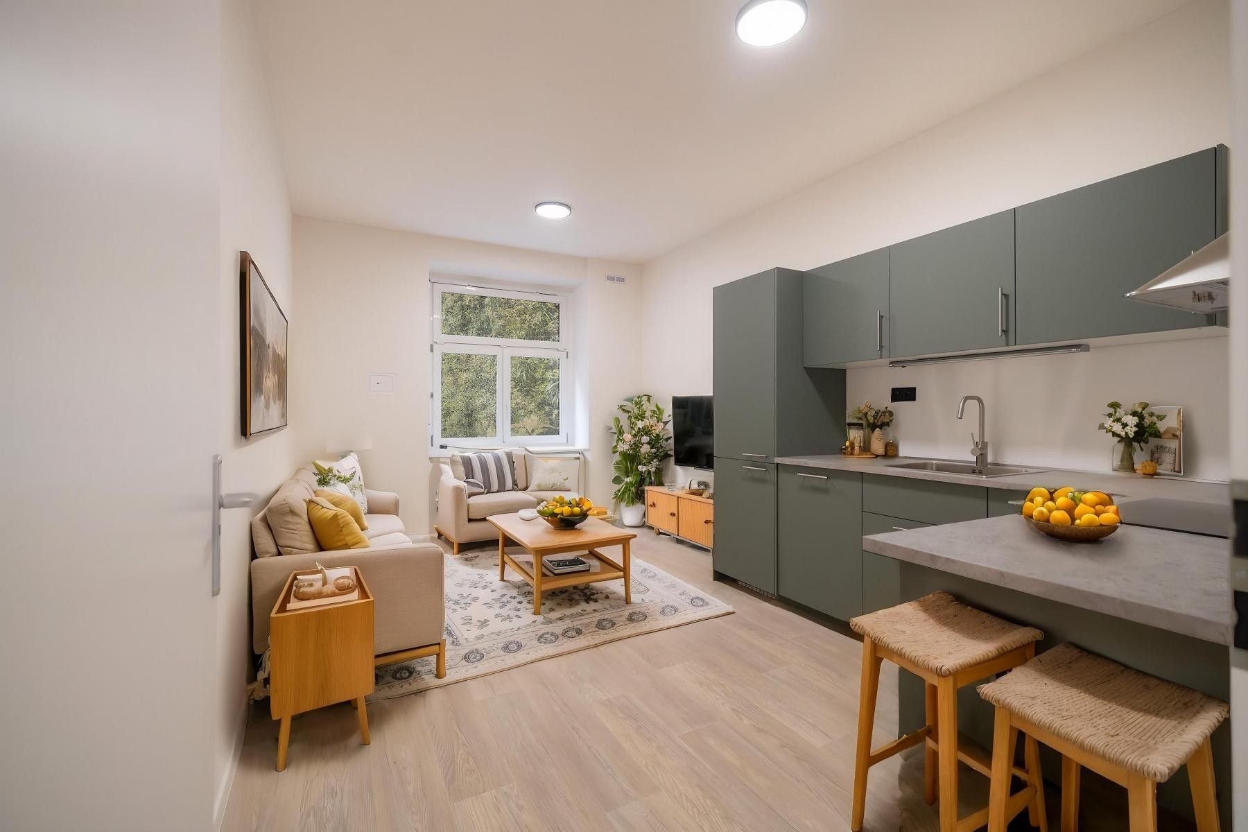 2+kk, U kaštanu, Praha, 41 m²