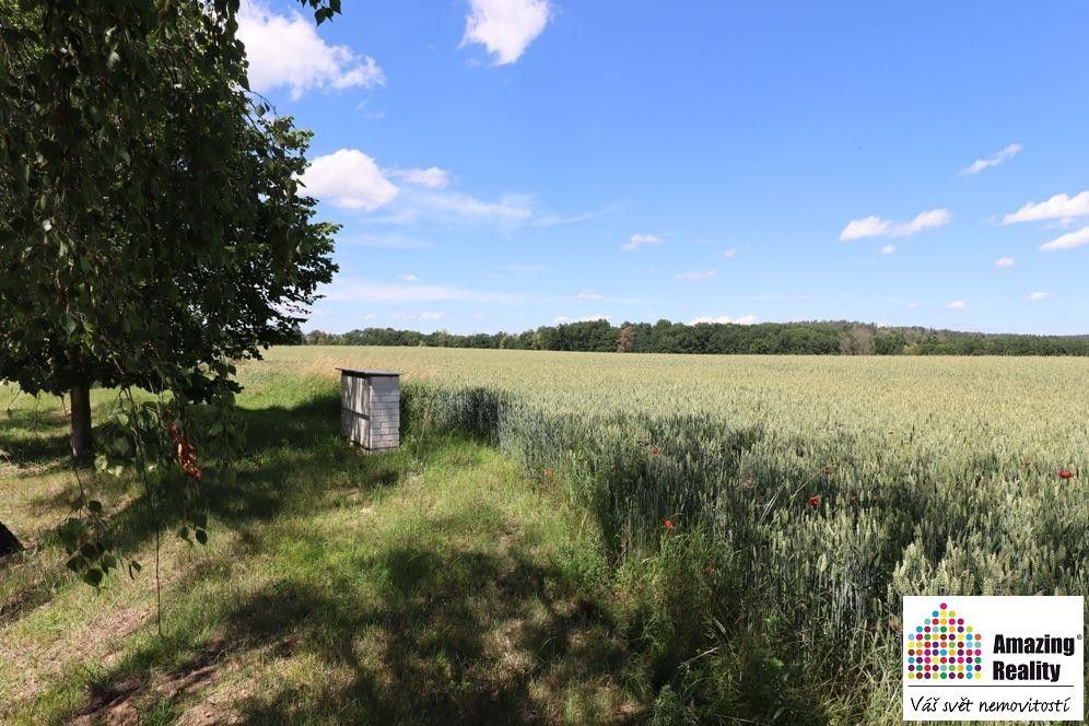 Prodej pozemek pro bydlení - Písek, 397 01, 6 704 m²