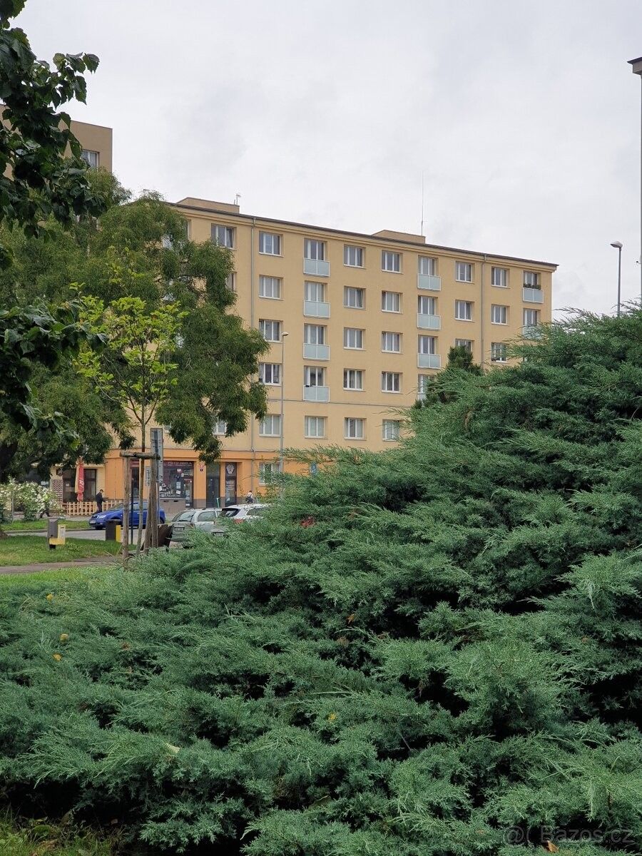 2+1, Praha, 100 00, 63 m²