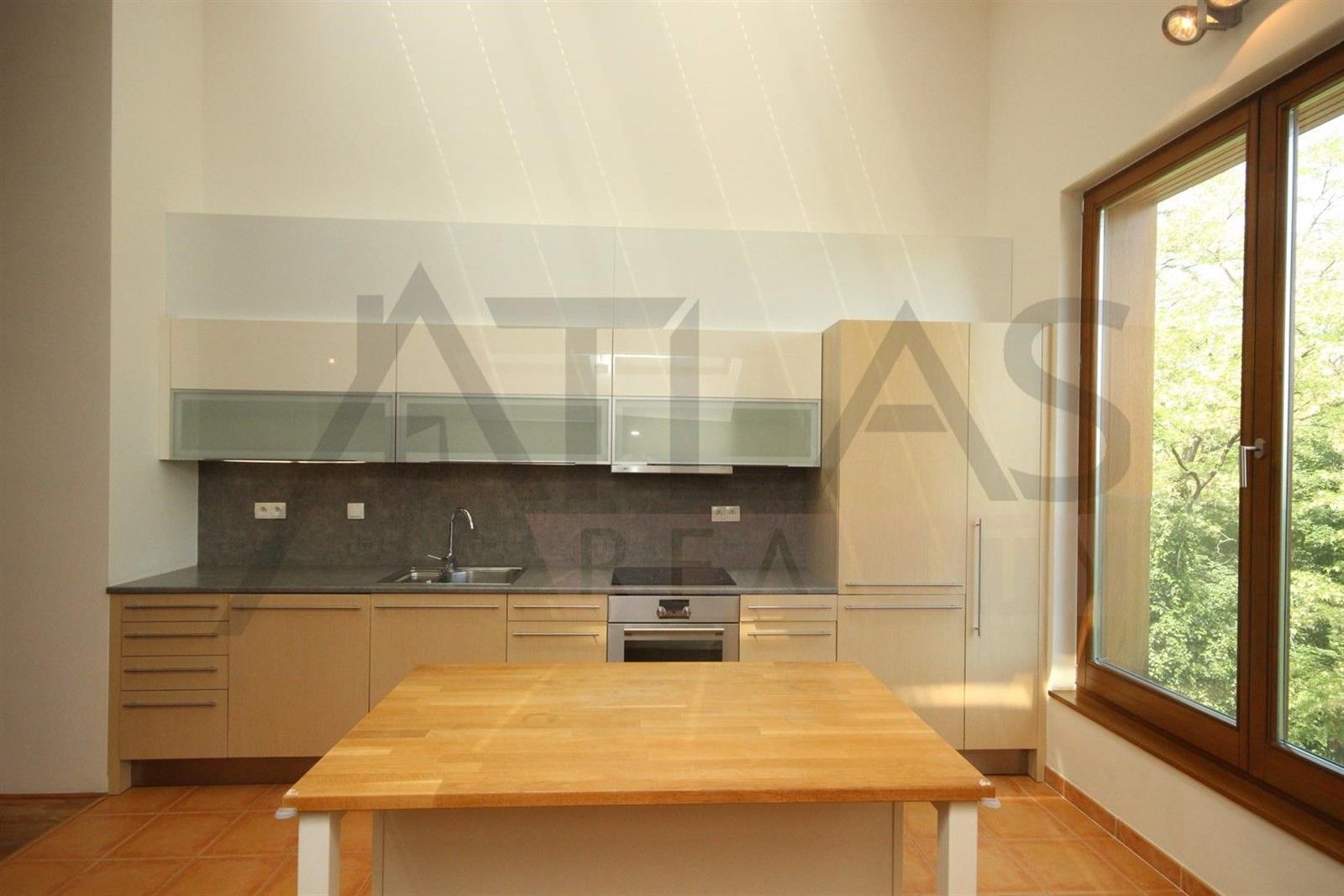 3+kk, Bubeneč, Praha, 122 m²