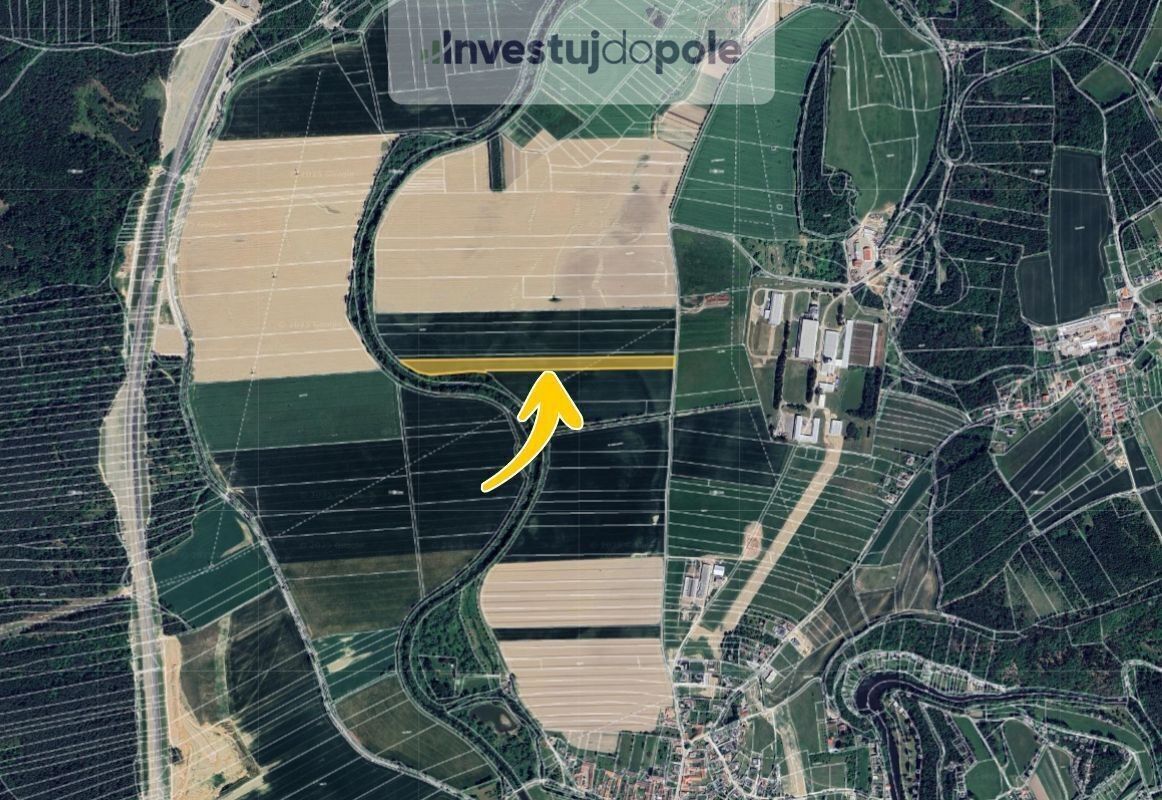 Prodej zemědělský pozemek - Plav, 9 839 m²