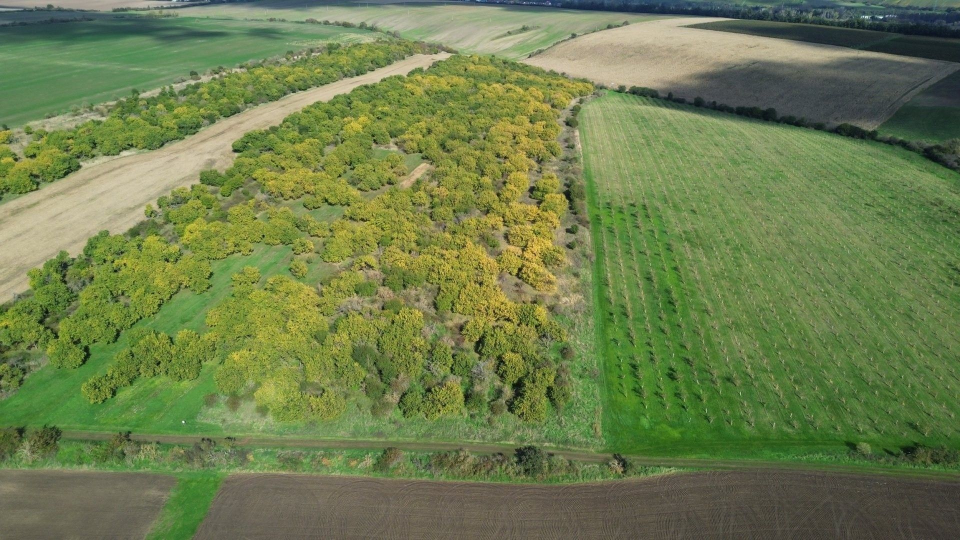 Ostatní, Hustopeče, 14 896 m²