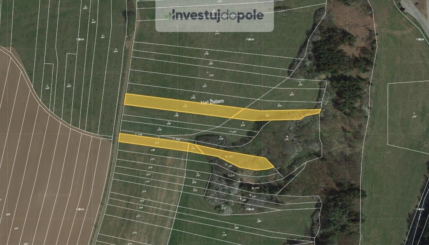 Prodej louka - Ostrov u Macochy, 5 599 m²