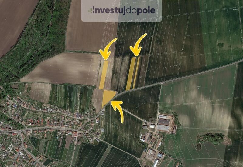 Prodej zemědělský pozemek - Břežany u Znojma, 671 65, 16 284 m²