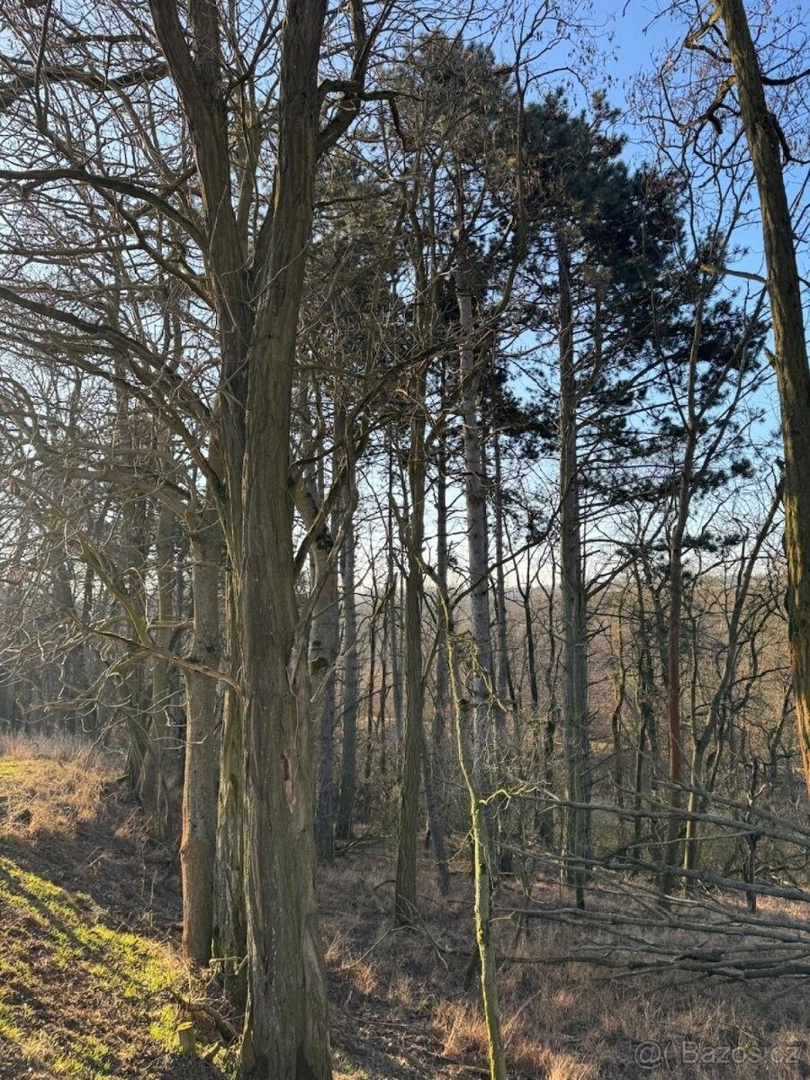 Lesy, Mělnické Vtelno, 277 38, 1 489 m²