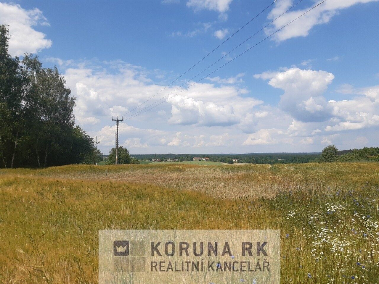 Pozemky pro bydlení, Rejta, Trhové Sviny, 6 398 m²