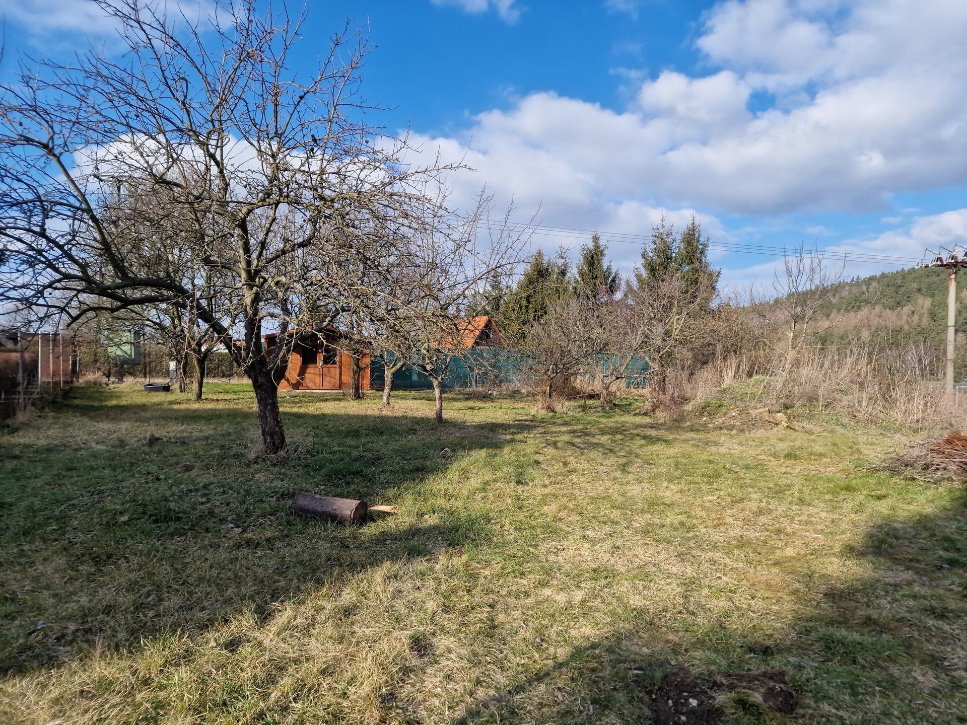 Pozemky pro bydlení, Olešnice, 999 m²