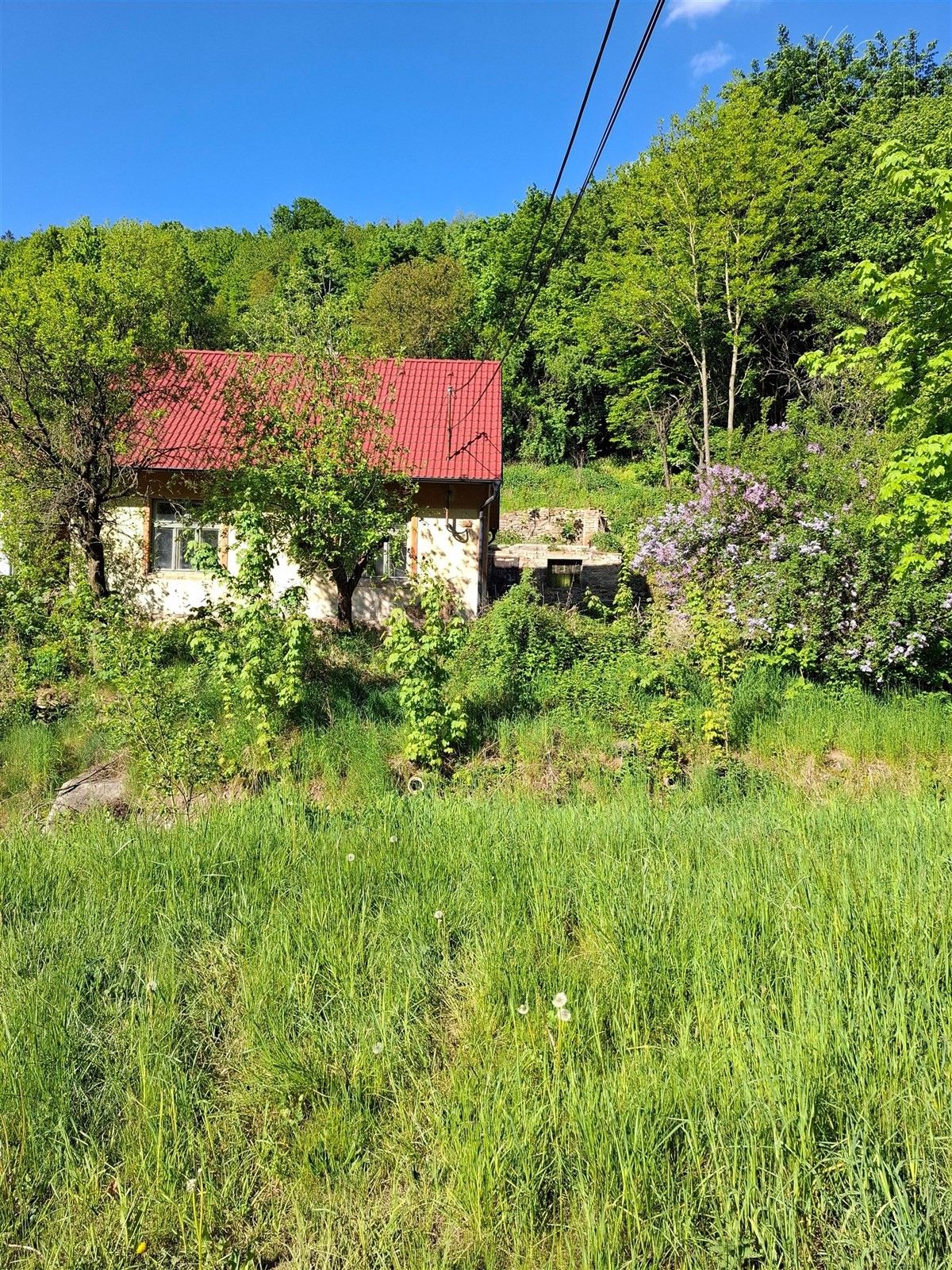 Ostatní, Běleč, 60 m²