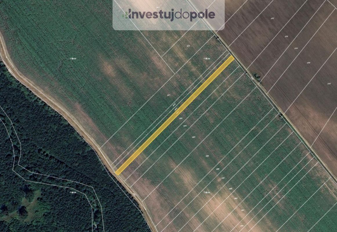 Zemědělské pozemky, Kostice, 1 444 m²