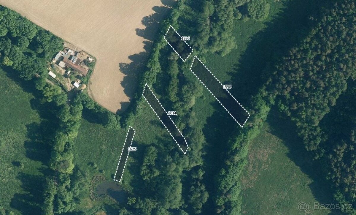 Zemědělské pozemky, Žinkovy, 335 54, 9 805 m²