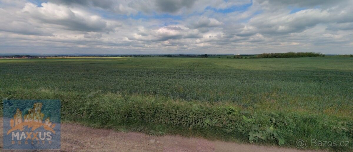 Zemědělské pozemky, Odolena Voda, 250 70, 8 750 m²