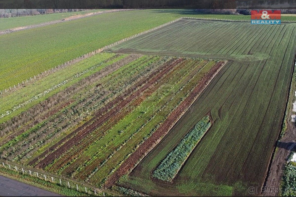 Zemědělské pozemky, Nové Dvory u Kutné Hory, 285 31, 9 979 m²