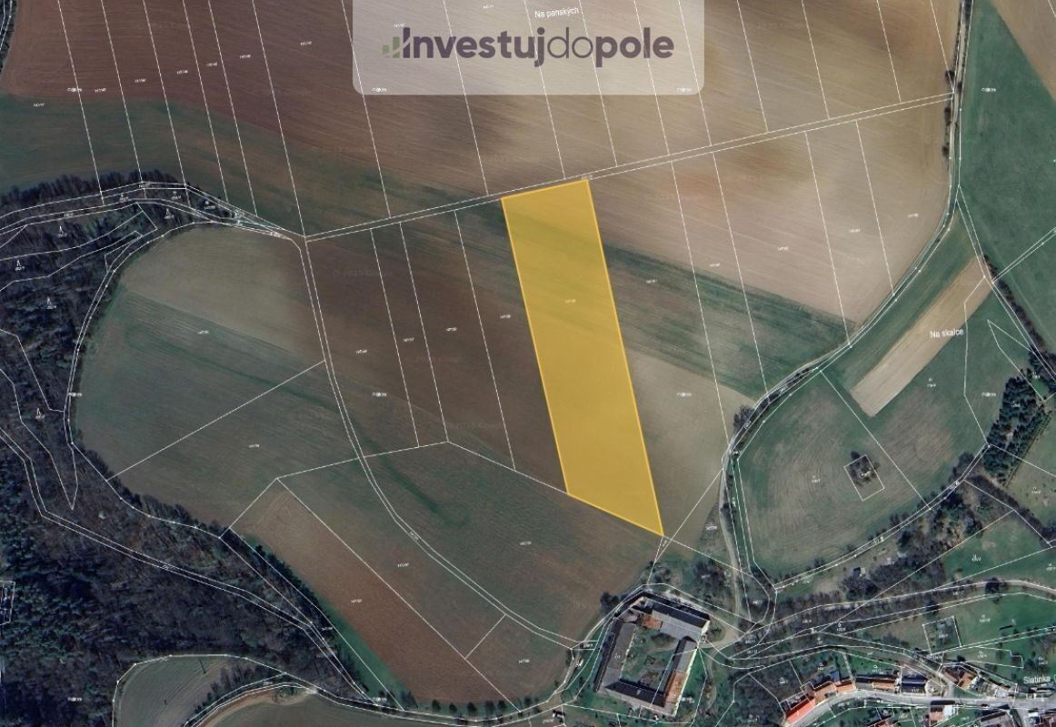 Zemědělské pozemky, Slatinka, Letovice, 12 248 m²