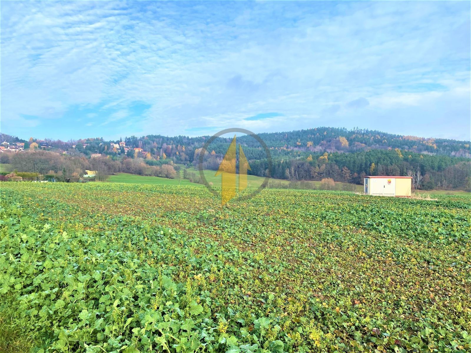Prodej louka - Prachov, Holín, 3 562 m²