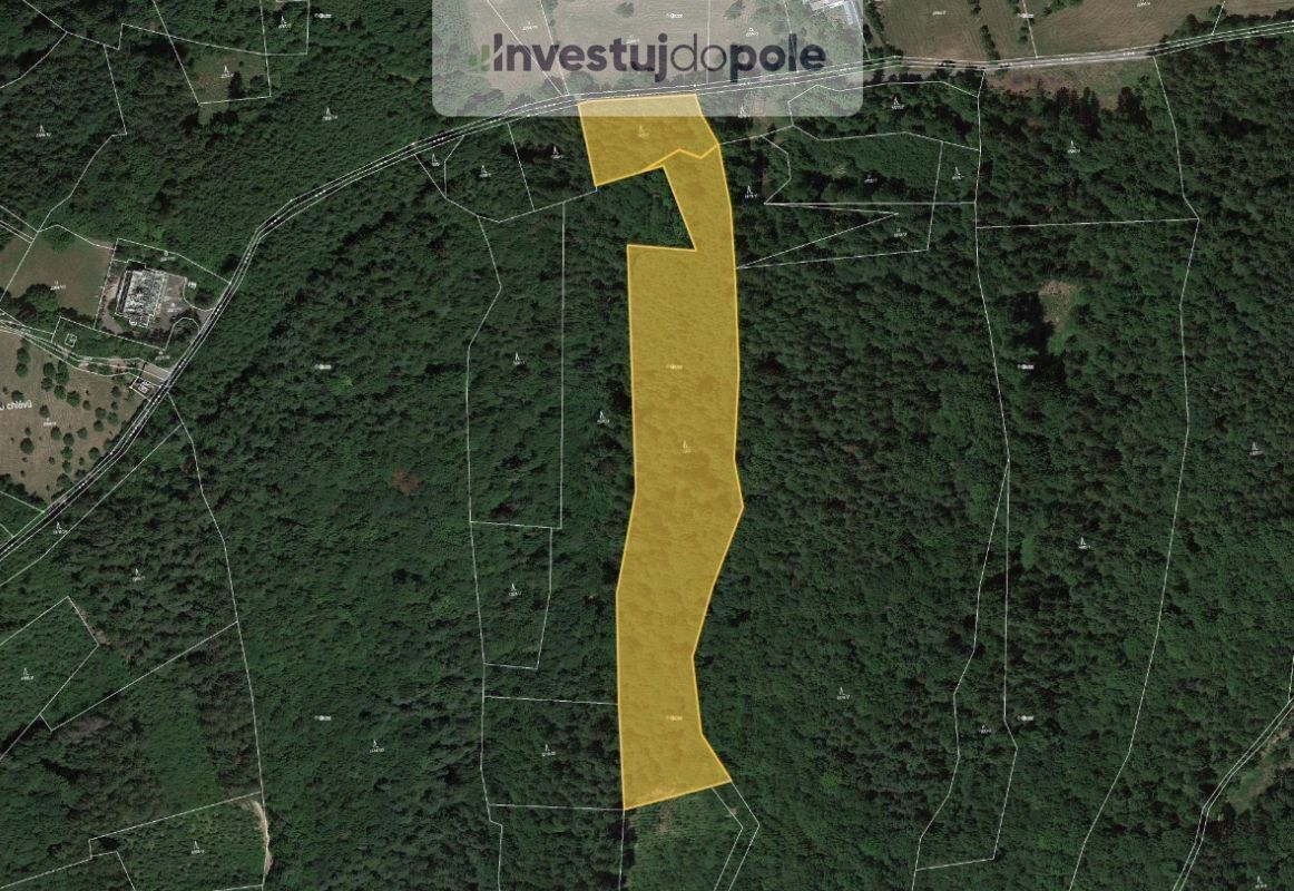 Lesy, Všemina, 21 494 m²