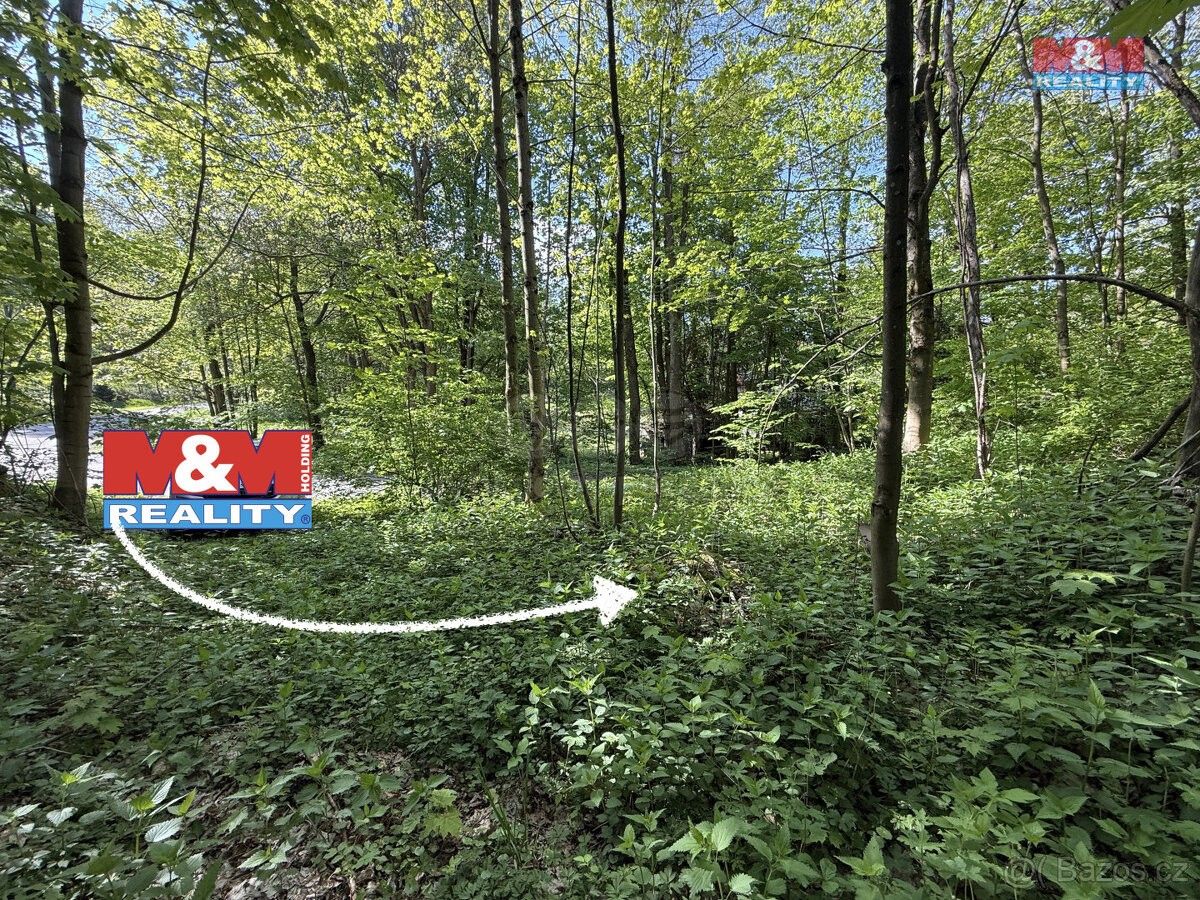 Ostatní, Králíky, 561 69, 424 m²