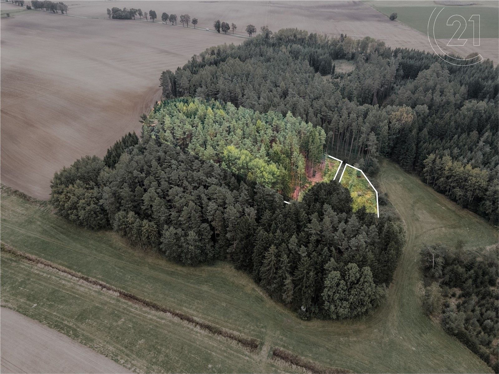Lesy, Hradec nad Svitavou, 7 816 m²