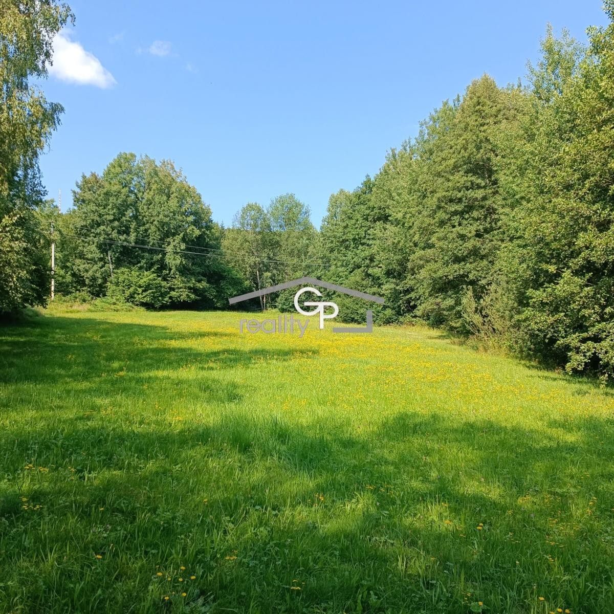 Prodej louka - Krasetín, Holubov, 4 299 m²