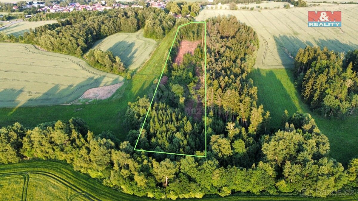 Lesy, Pelhřimov, 393 01, 17 153 m²