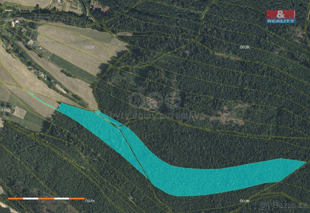 Prodej les - Česká Třebová, 560 02, 60 981 m²