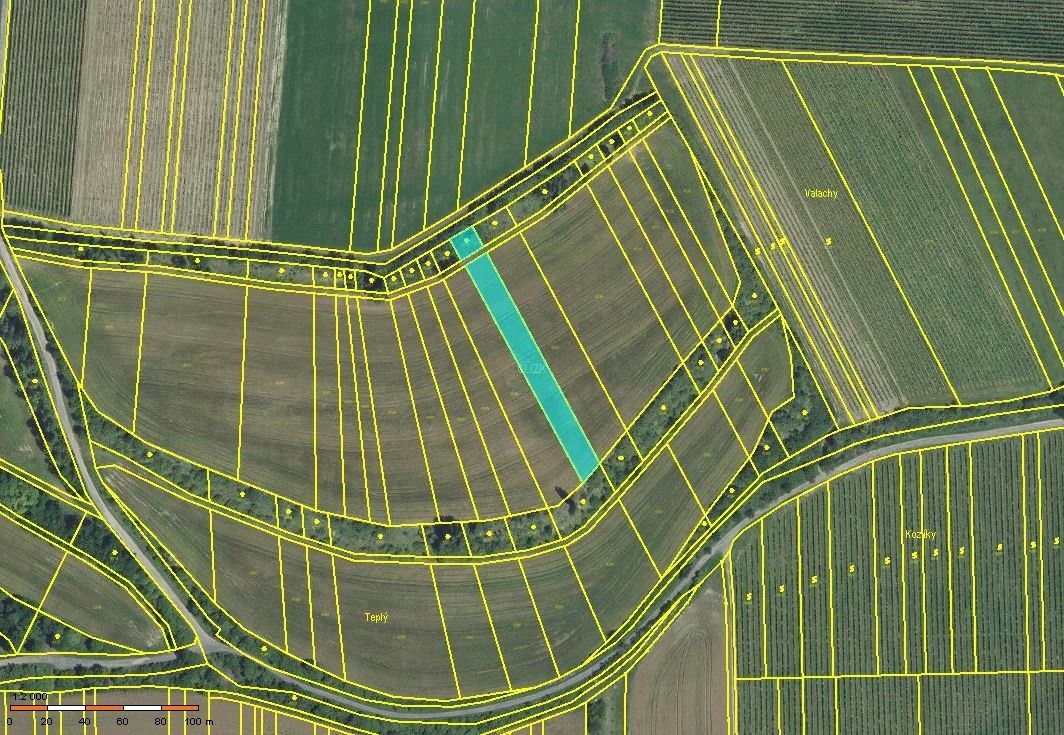 Zemědělské pozemky, Ořechov, 917 m²