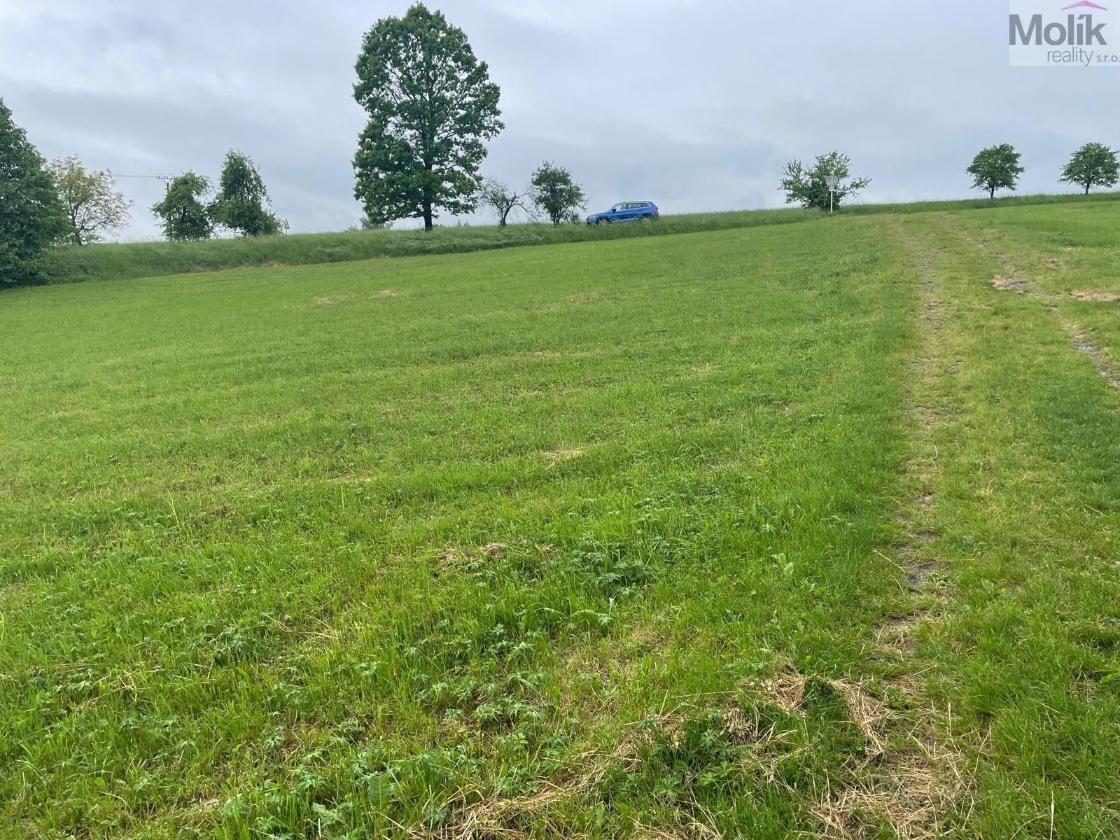 Zemědělské pozemky, Palačov, Starý Jičín, 33 045 m²