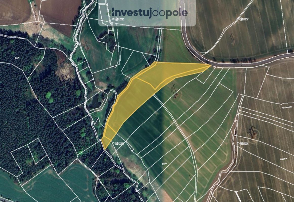 Zemědělské pozemky, Petrašovice, Bílá, 23 701 m²