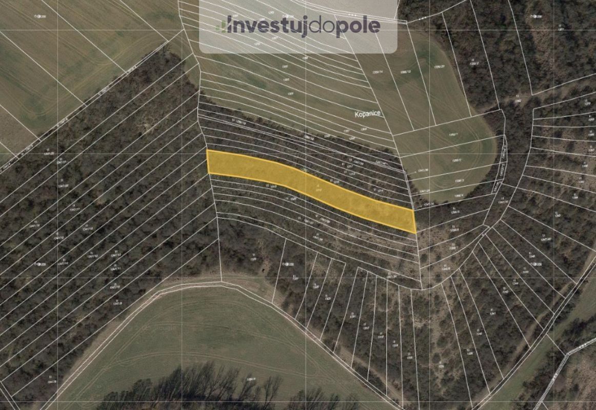 Louky, Cetechovice, 2 864 m²