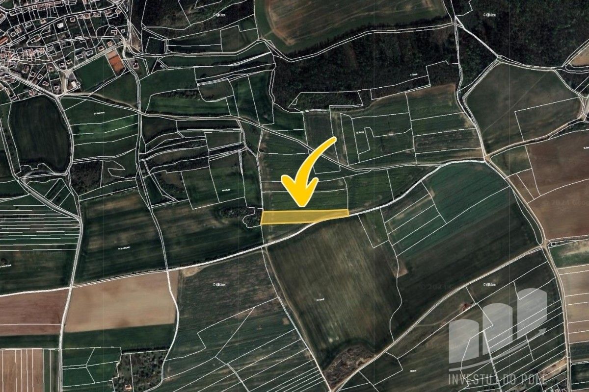 Prodej zemědělský pozemek - Choteč, 7 337 m²