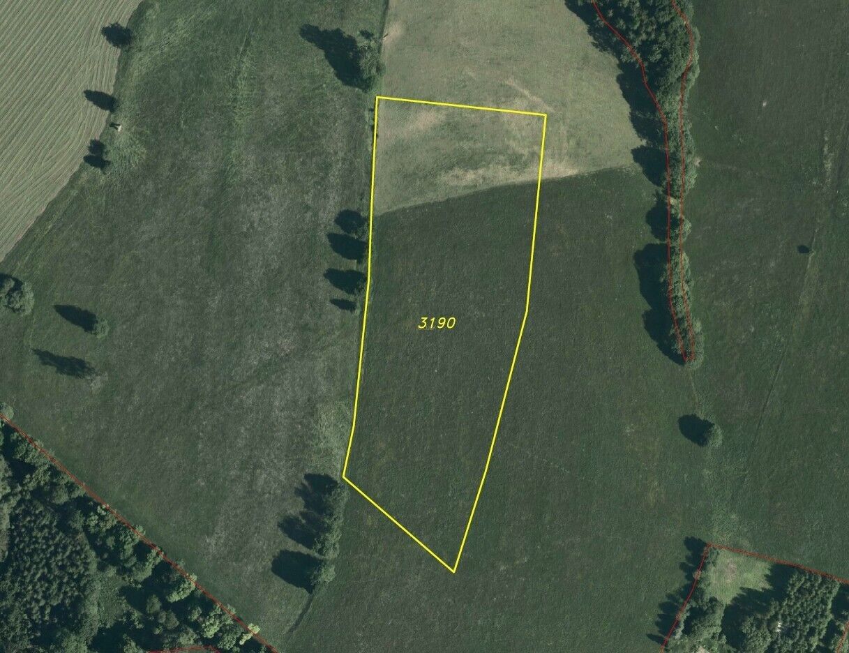 Ostatní, Dolní Hedeč, Králíky, 25 968 m²