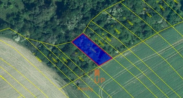 Prodej zahrada - Žarošice, 696 34, 6 755 m²