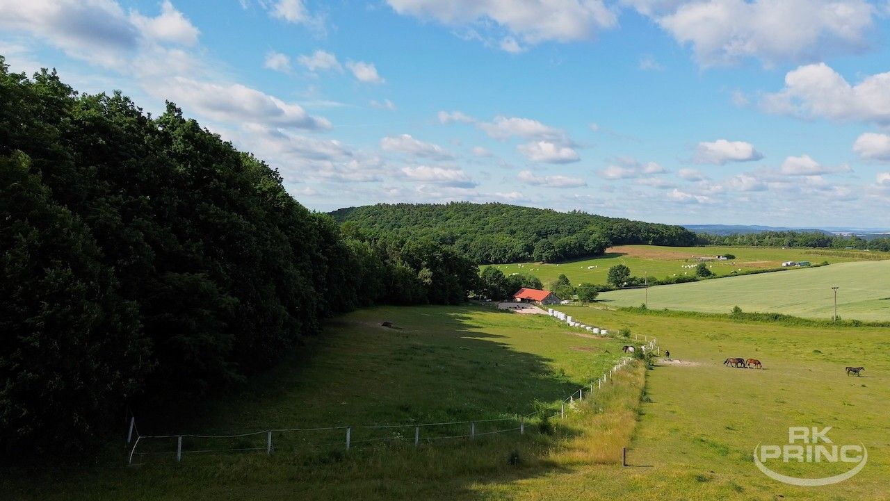 Ostatní, Obora, Petrov, 10 765 m²