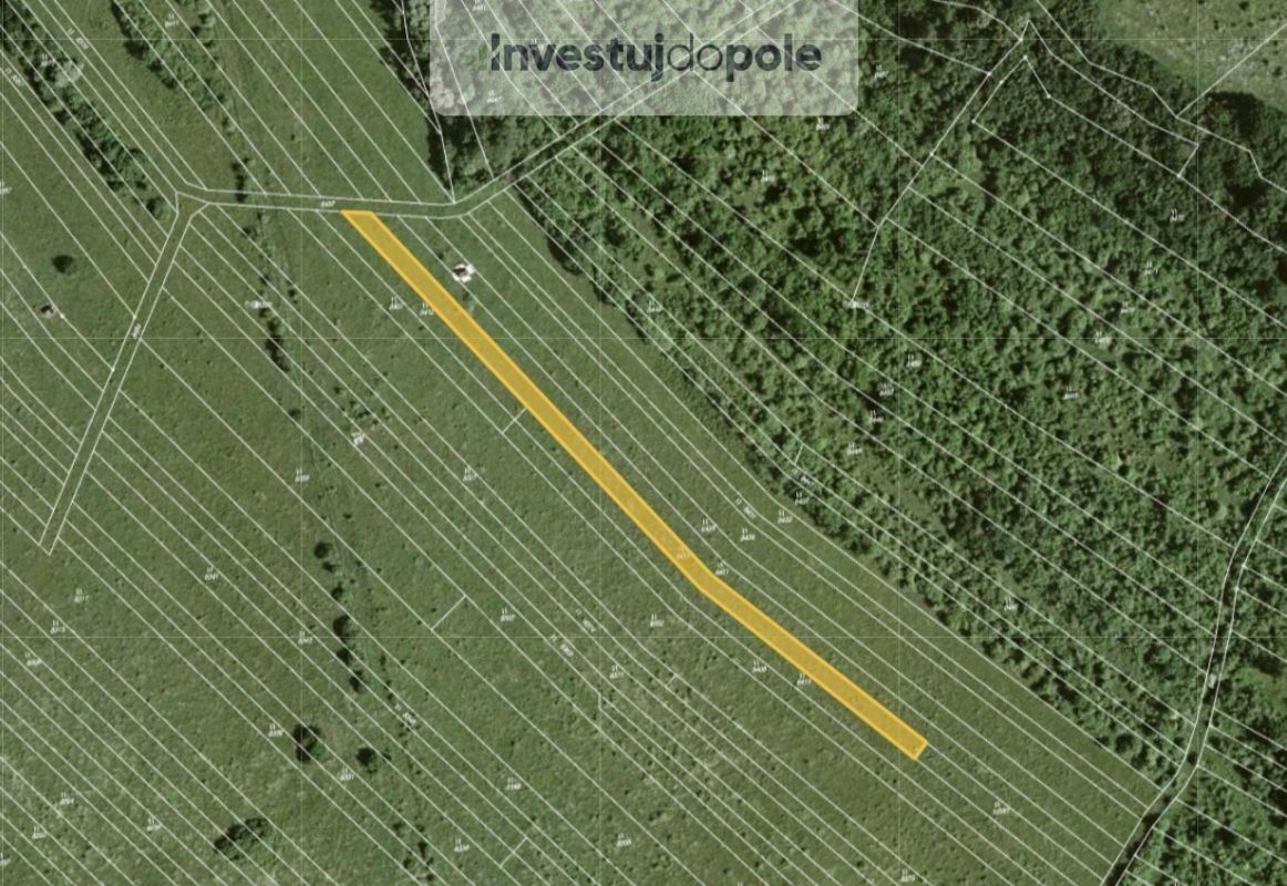 Prodej louka - Javorník, 1 172 m²