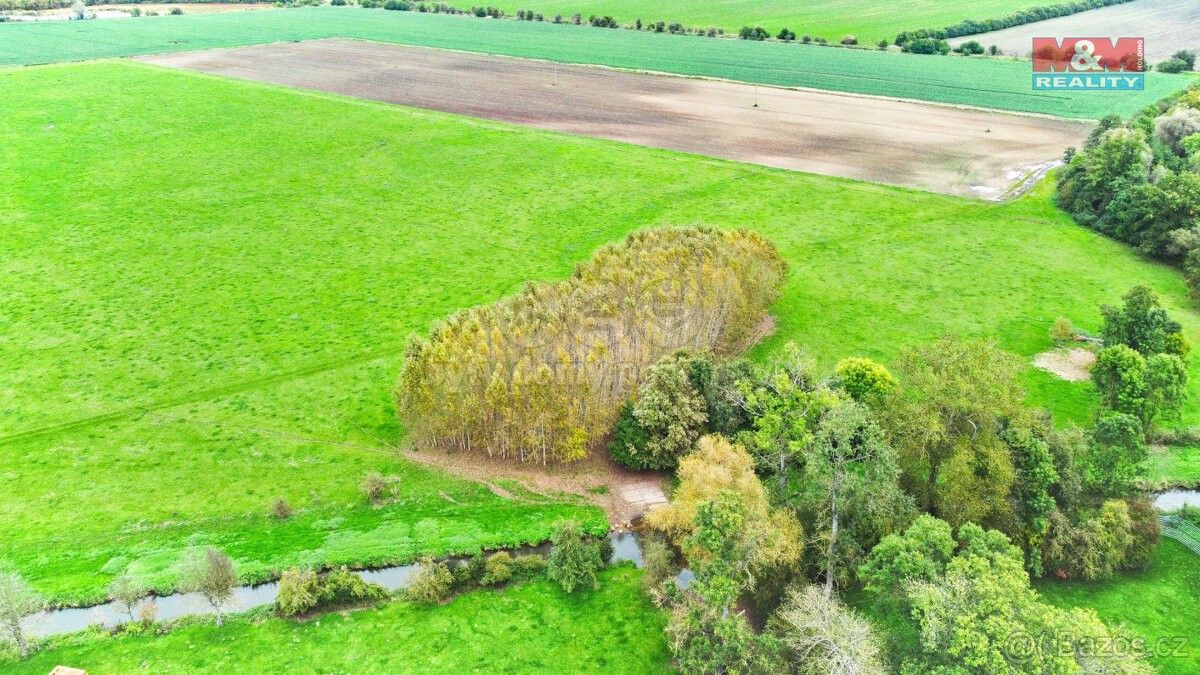 Prodej zemědělský pozemek - Skřivany u Nového Bydžova, 503 52, 1 461 m²